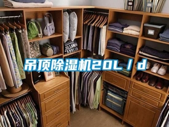 行業(yè)新聞吊頂除濕機20L／d
