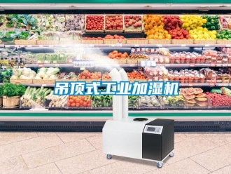 企業新聞吊頂式工業加濕機