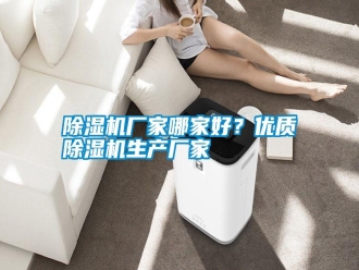 行業(yè)新聞除濕機(jī)廠家哪家好？?jī)?yōu)質(zhì)除濕機(jī)生產(chǎn)廠家