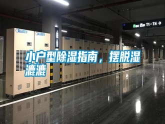 知識百科小戶型除濕指南，擺脫濕漉漉