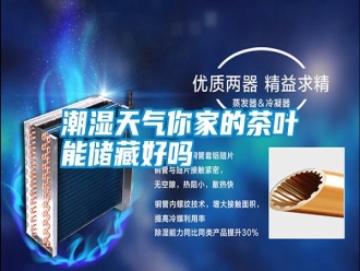 知識百科潮濕天氣你家的茶葉能儲藏好嗎