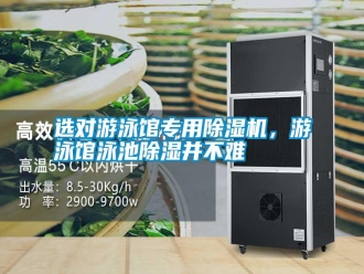 常見問題選對游泳館專用除濕機，游泳館泳池除濕并不難