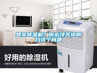 行業新聞想買除濕機？你必須先搞明白這個問題