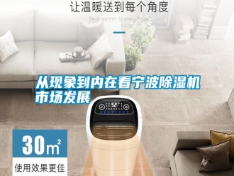 知識百科從現象到內在看寧波除濕機市場發展