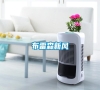 布雷森新風(fēng) 布雷森新風(fēng)