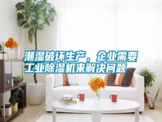 知識百科潮濕破壞生產，企業需要工業除濕機來解決問題