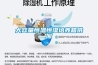 大容量恒溫恒濕培養(yǎng)箱供應