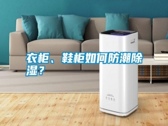 常見問題衣柜、鞋柜如何防潮除濕？