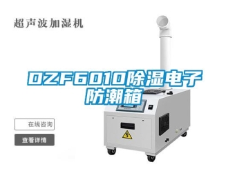 企業新聞DZF6010除濕電子防潮箱