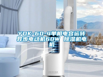 企業新聞YDK-60-4單相電容運轉異步電動機60W 除濕機電機