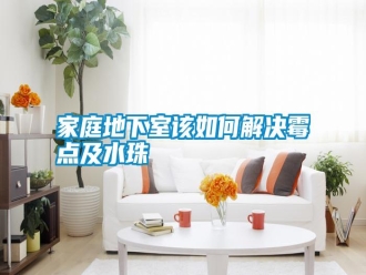 企業新聞家庭地下室該如何解決霉點及水珠