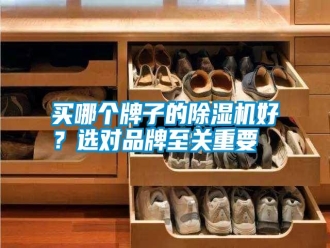 常見問題買哪個(gè)牌子的除濕機(jī)好？選對(duì)品牌至關(guān)重要