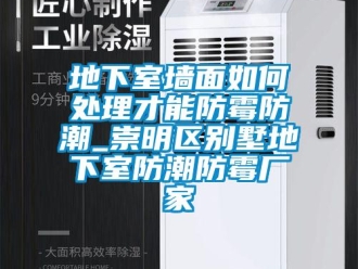 企業新聞地下室墻面如何處理才能防霉防潮_崇明區別墅地下室防潮防霉廠家
