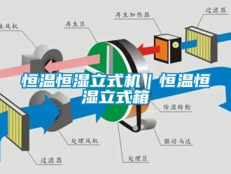 知識(shí)百科恒溫恒濕立式機(jī)｜恒溫恒濕立式箱