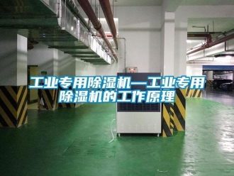 常見問題工業(yè)專用除濕機(jī)—工業(yè)專用除濕機(jī)的工作原理