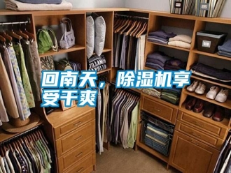 企業新聞回南天，除濕機享受干爽