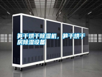 常見問題筍干烘干除濕機(jī)，筍干烘干房除濕設(shè)備