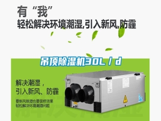 行業(yè)新聞吊頂除濕機30L／d
