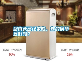 企業新聞回南天已經來臨，你的鋼琴還好嗎？