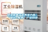 除濕機電子商務發力營銷“優價+服務”廣獲好評