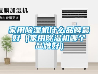 企業(yè)新聞家用除濕機(jī)什么品牌最好（家用除濕機(jī)哪個品牌好）