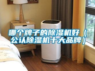 企業新聞哪個牌子的除濕機好（公認除濕機十大品牌）