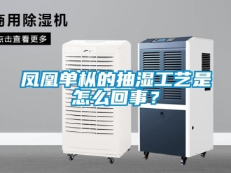 企業新聞鳳凰單樅的抽濕工藝是怎么回事？