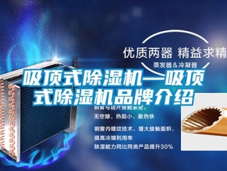 企業(yè)新聞吸頂式除濕機(jī)—吸頂式除濕機(jī)品牌介紹