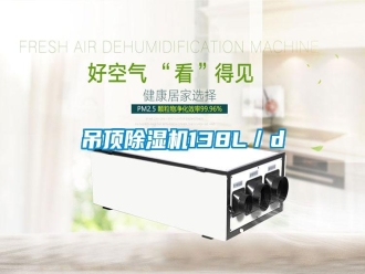 行業(yè)新聞吊頂除濕機138L／d