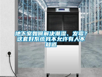 企業新聞地下室如何解決潮濕、發霉？這套好系統我不允許有人不知道
