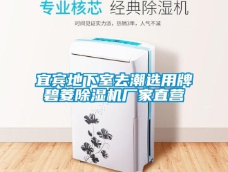 企業新聞宜賓地下室去潮選用牌碧菱除濕機廠家直營