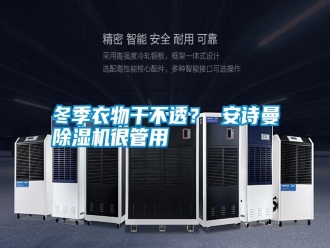 行業新聞冬季衣物干不透？ 安詩曼除濕機很管用