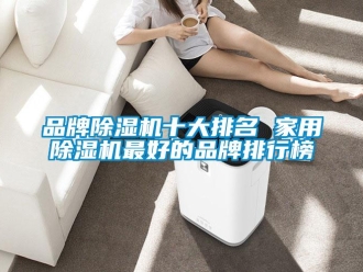 企業新聞品牌除濕機十大排名 家用除濕機最好的品牌排行榜