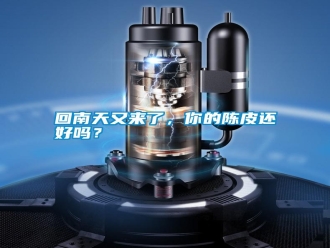 企業(yè)新聞回南天又來了，你的陳皮還好嗎？