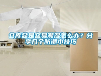 企業(yè)新聞倉庫總是容易潮濕怎么辦？分享幾個防潮小技巧