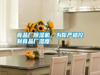 知識百科食品廠除濕機，為你嚴格控制食品廠濕度