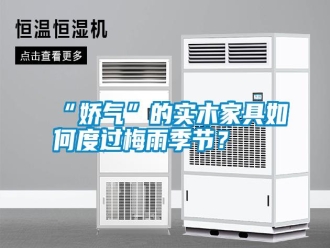 常見問題“嬌氣”的實木家具如何度過梅雨季節？