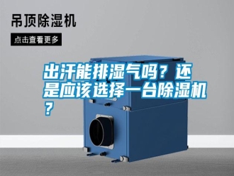 知識百科出汗能排濕氣嗎？還是應該選擇一臺除濕機？