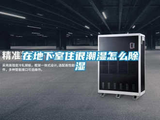 企業新聞在地下室住很潮濕怎么除濕