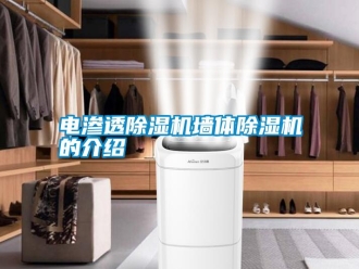 行業新聞電滲透除濕機墻體除濕機的介紹
