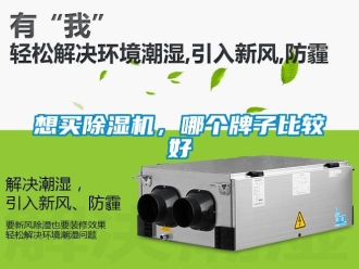 行業新聞想買除濕機，哪個牌子比較好
