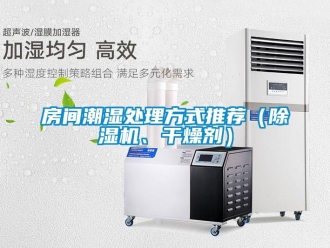 行業(yè)新聞房間潮濕處理方式推薦（除濕機、干燥劑）