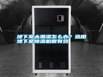行業新聞地下室太潮濕怎么辦？選用地下室除濕機很有效