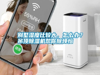 行業新聞別墅濕度比較大，怎么辦？吊頂除濕機幫你除煩惱