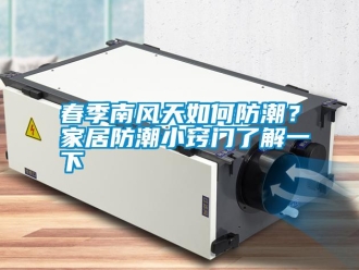 行業新聞春季南風天如何防潮？家居防潮小竅門了解一下