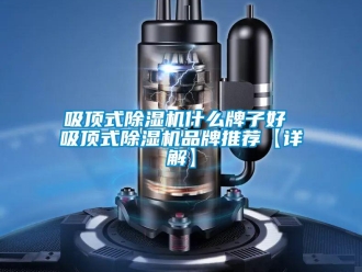 企業(yè)新聞吸頂式除濕機(jī)什么牌子好 吸頂式除濕機(jī)品牌推薦【詳解】