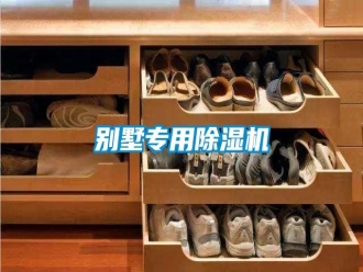 行業新聞別墅專用除濕機