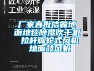 企業新聞廠家直批潔霸地面地毯除濕吹干機 拉桿腳輪式風機 地面鼓風機