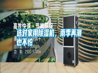 常見問題選對家用除濕機，雨季再潮也不怕