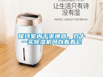 企業(yè)新聞保持室內(nèi)干爽神器，雙十一買除濕機(jī)可以看看它